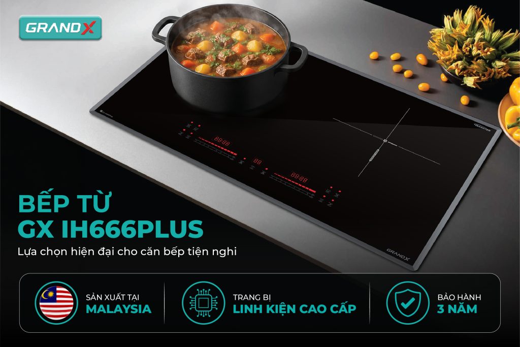 Bếp từ GrandX GX IH666Plus – hình 3