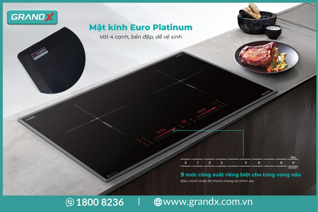 Bếp từ GrandX GX IH666Plus – hình 4
